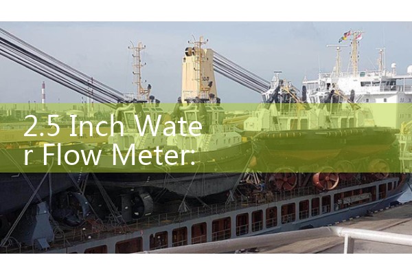 2.5 Inch Water Flow Meter: Flanged Irrigation and Main Distribution Probes